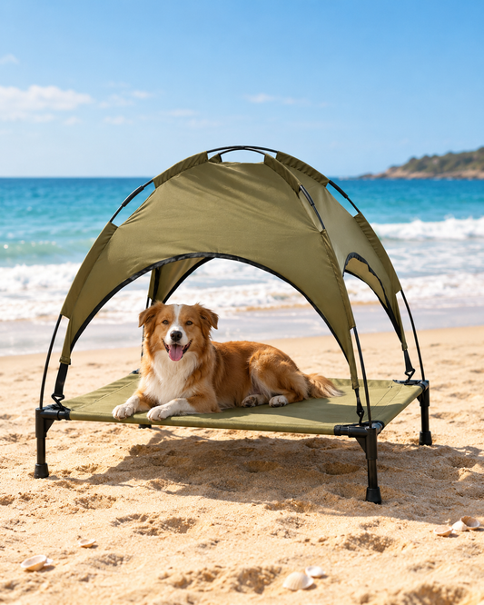 Summer Bundle lifestyle photo