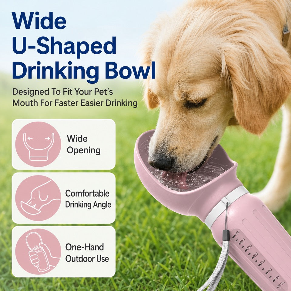 Dog drinking from travel bottle bowl