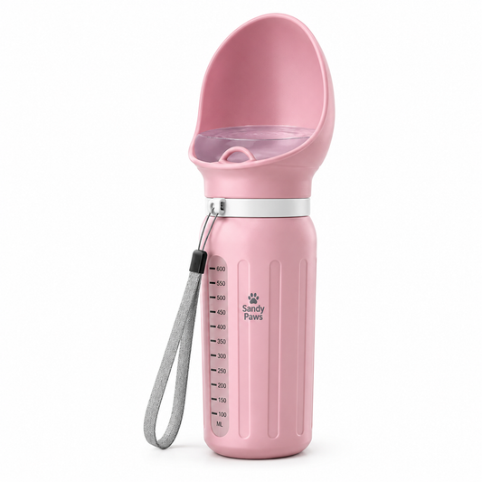 Foldable Silicone Travel Bottle and Bowl